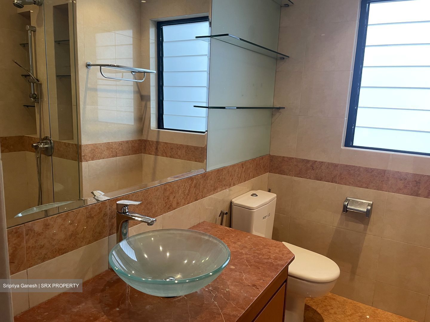 Regency Park (D10), Condominium #540681581